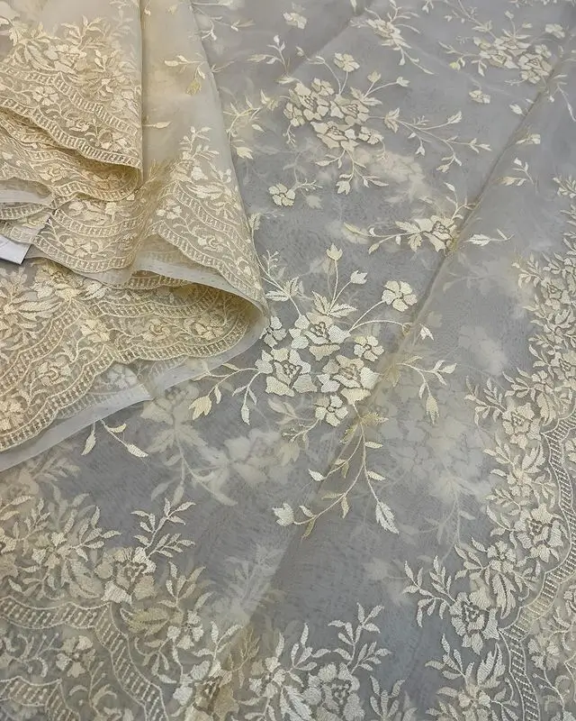 organza banarasi saree