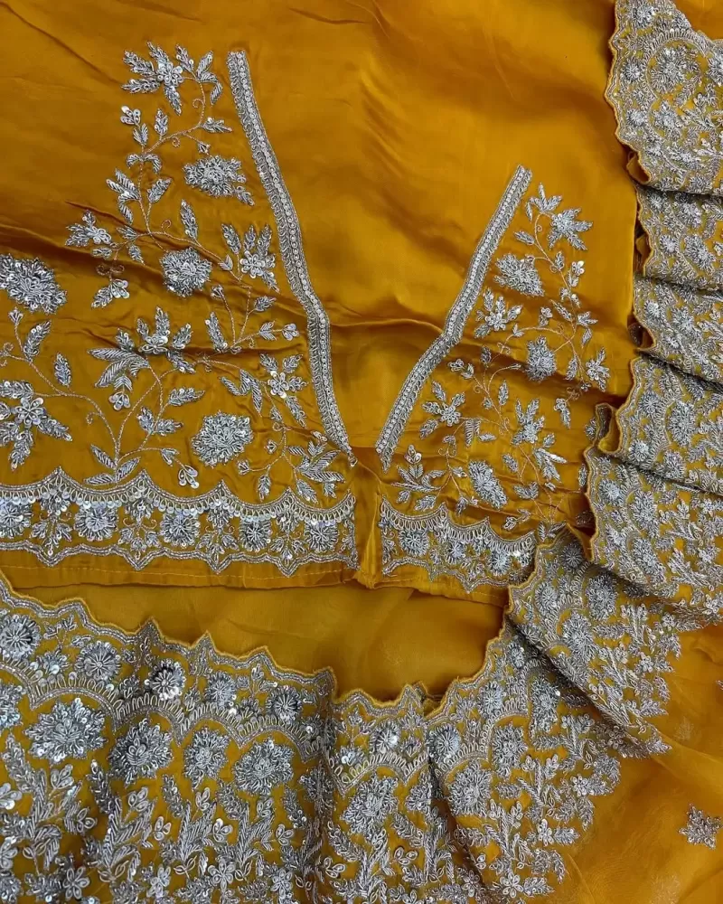 Banarasi saree with Applique Work