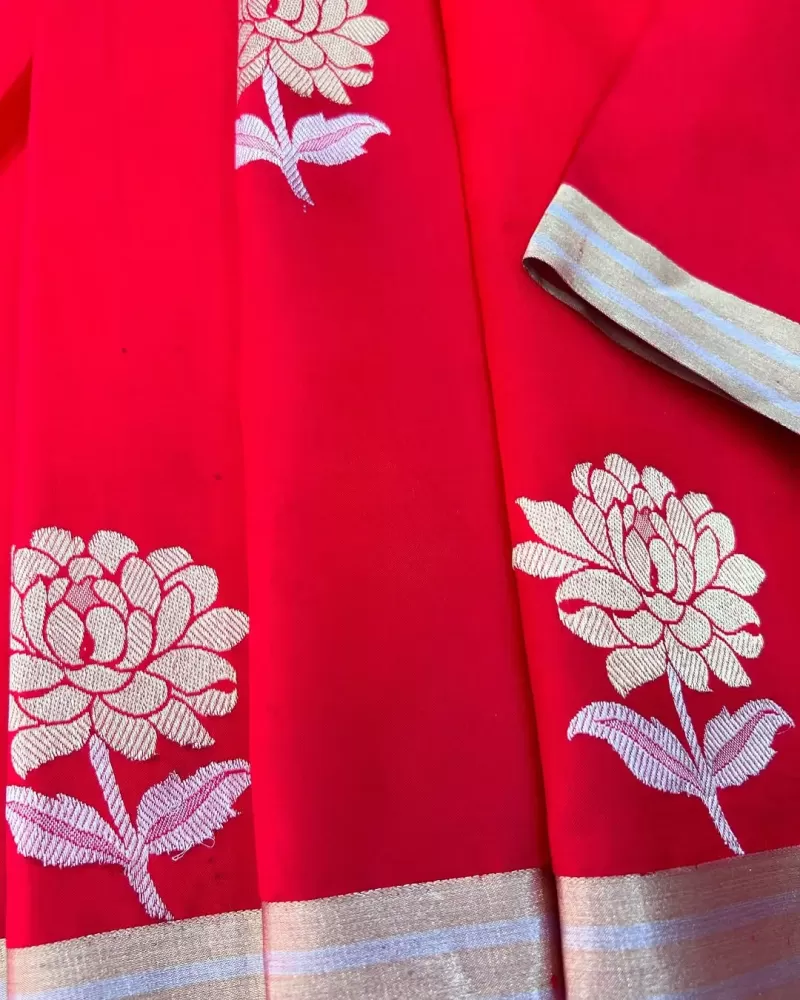 Applique work saree