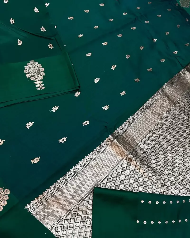 Applique design saree