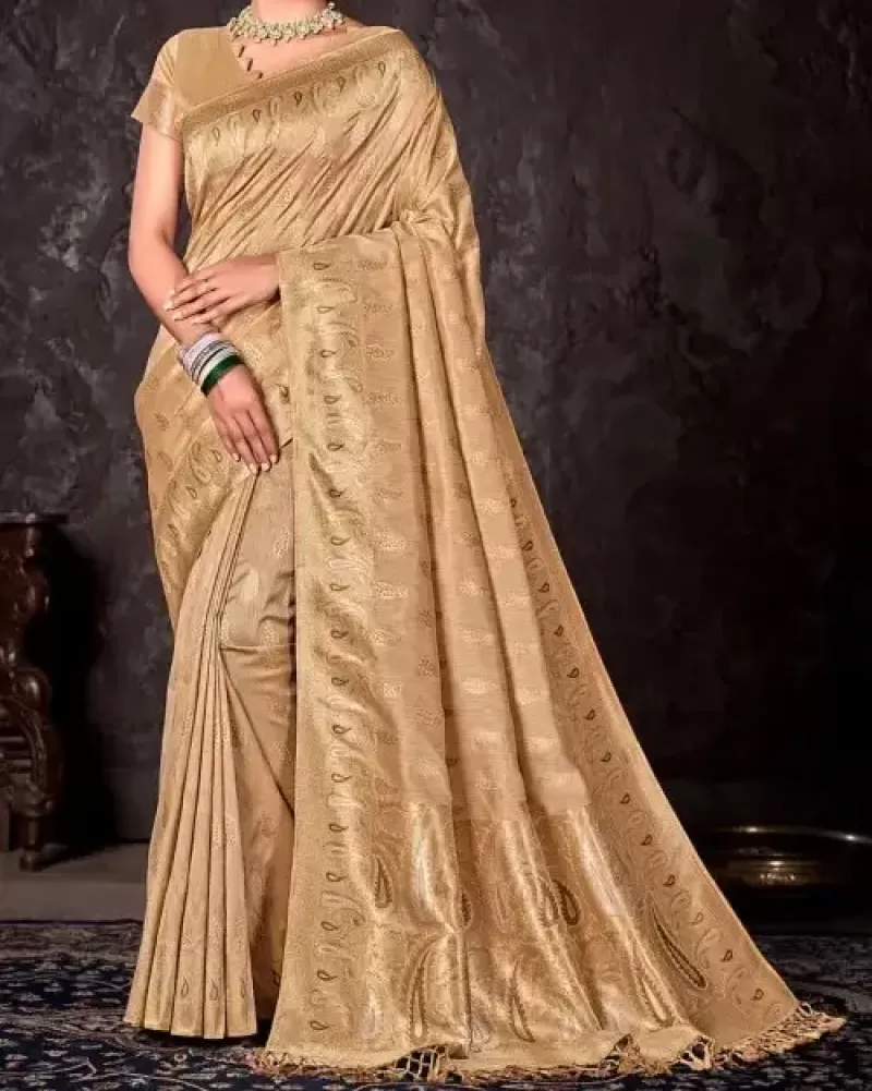 Desert theme banarasi saree